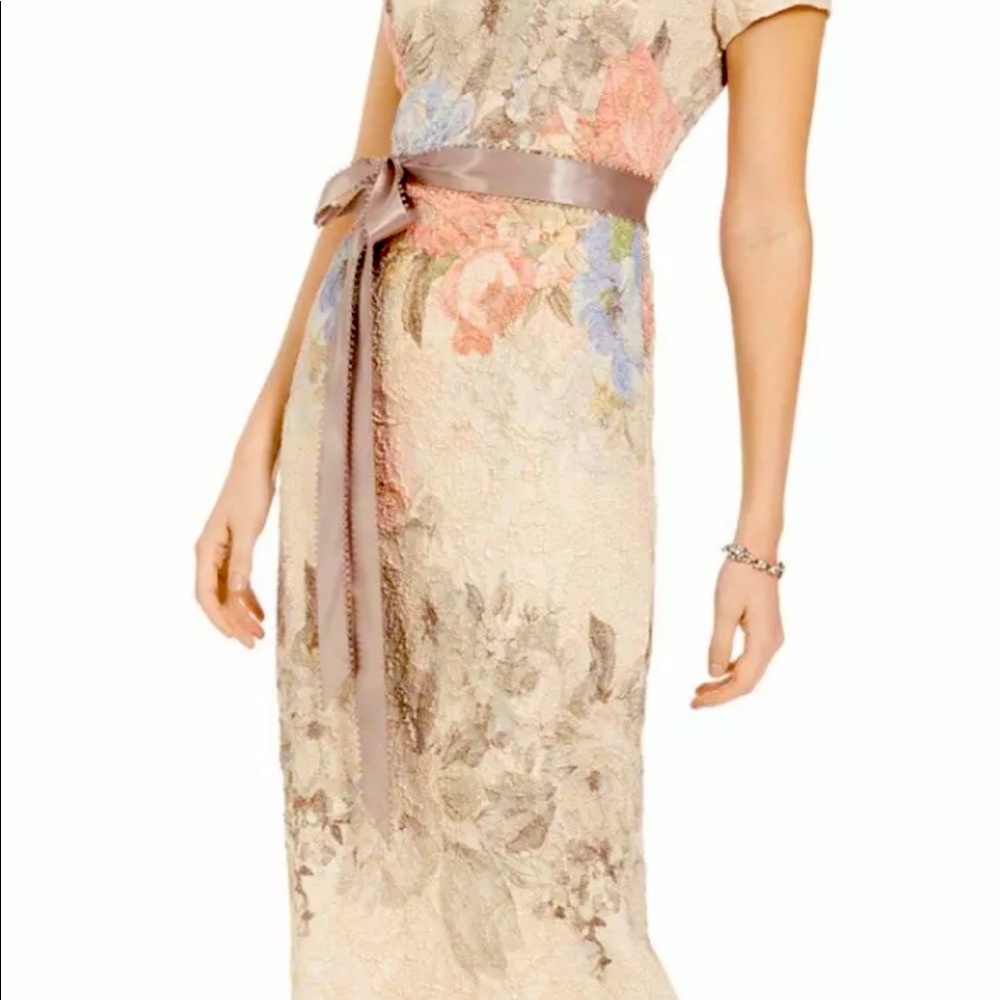 Adrianna papell gown dress